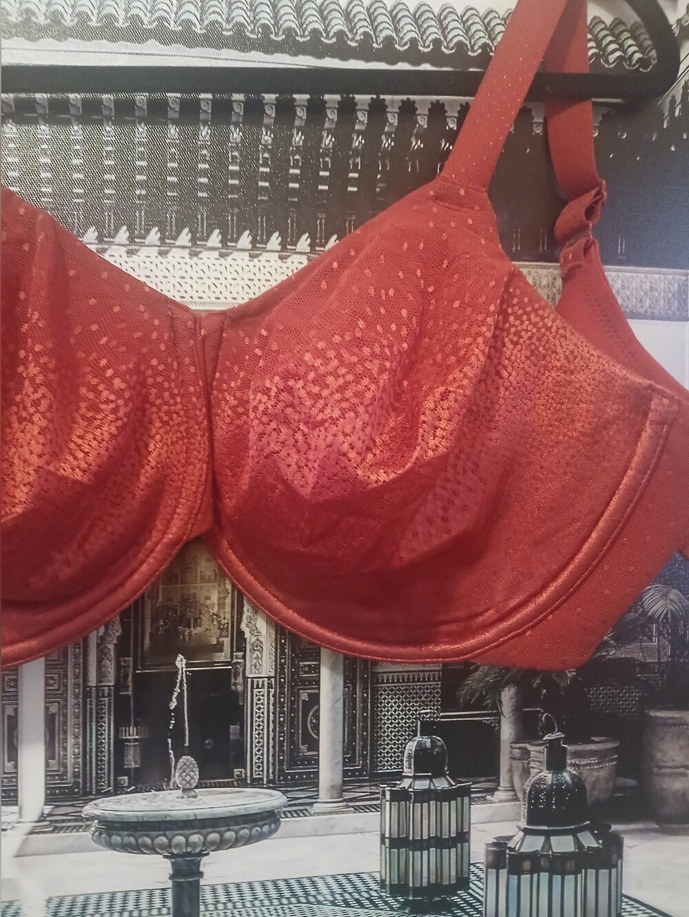 Wacoal Red Bra - US 38G - Picture 5 of 9